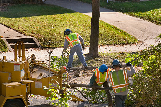 Best Lawn Irrigation Installation and Maintenance  in Dublin, CA